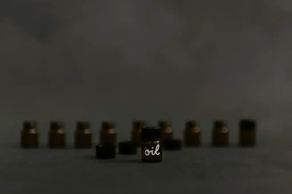 永恆之水：AquaUniversalis的異想世界