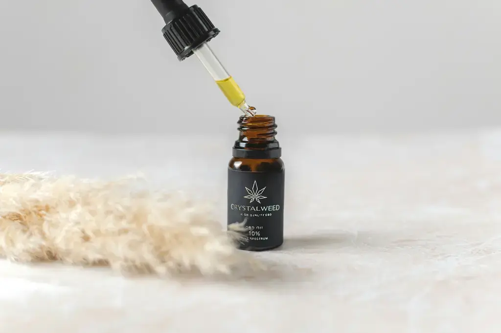 琥珀世界的璀璨光輝：認識Diptyque琥珀香氛