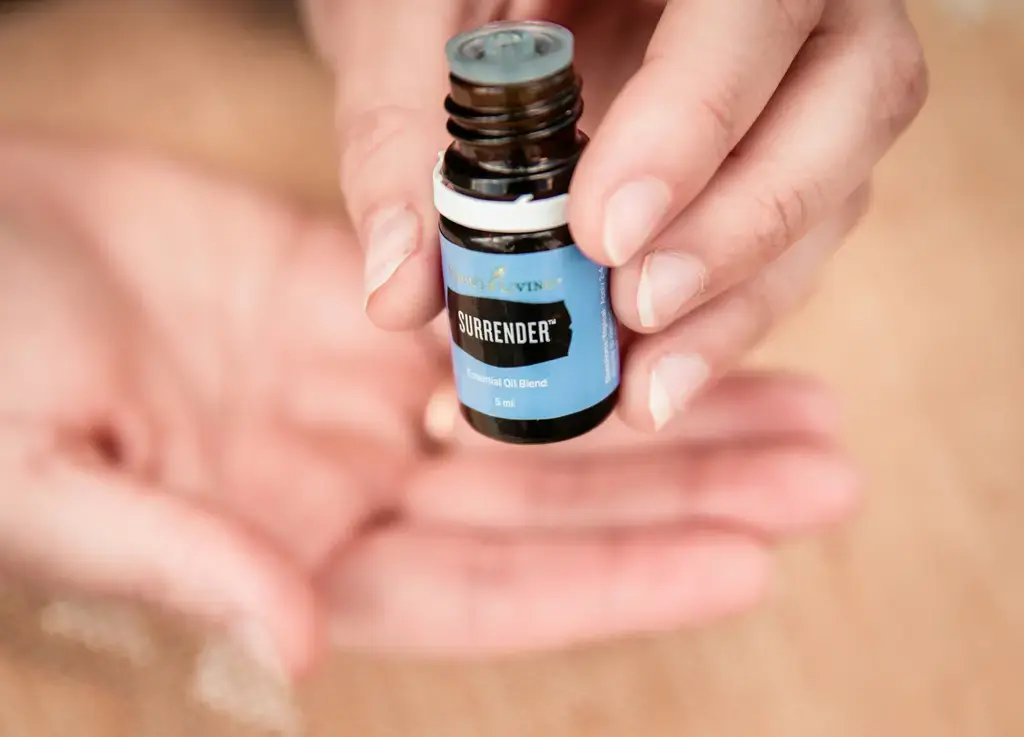 KP迷霧森林：台灣奇幻秘境，等你來探索